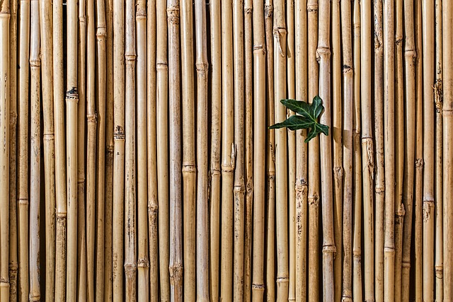 Bambus undertøj: Den nye favorit i undertøjsskuffen